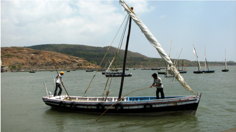 Maharashtra Government Imposes Size Limits on Fish to Safeguard Marine Life