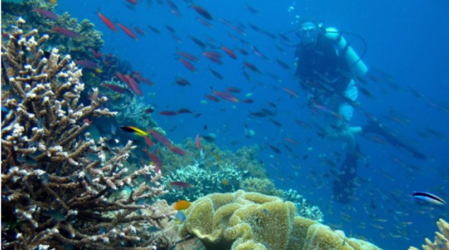 High Seas Treaty to Come Into Effect After Crossing the Ratification Threshold